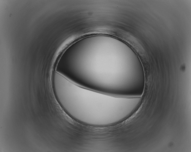 X0000097631180200802290837