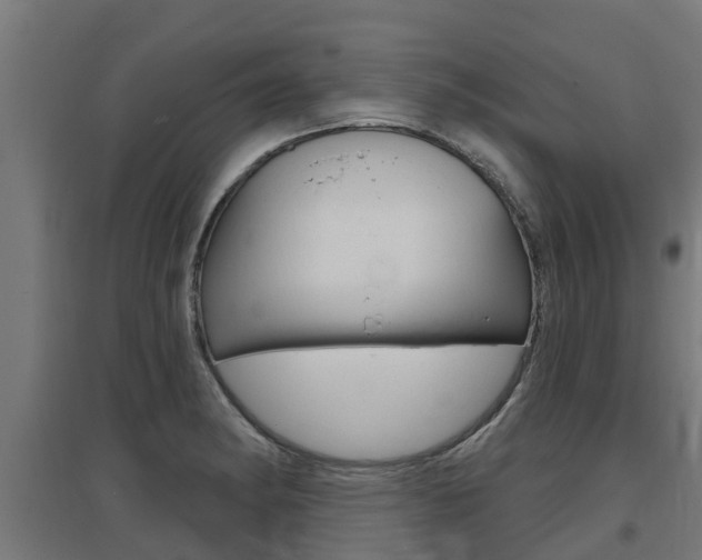 X0000097631182200802290837