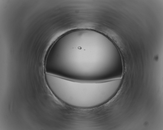 X0000097631184200802290837
