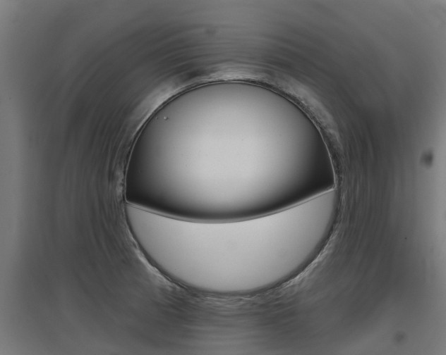 X0000097631185200802290837