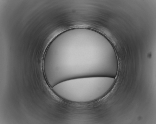 X0000097631186200802290837