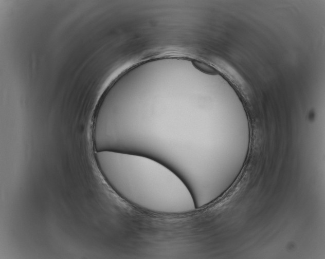 X0000097631190200802290836