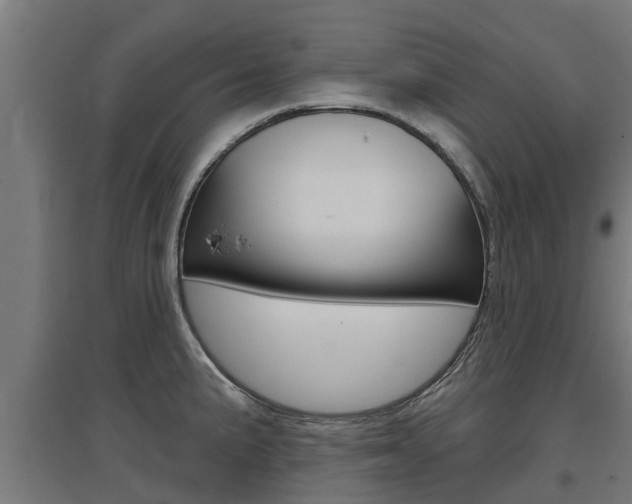 X0000097631191200802290836