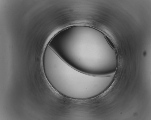 X0000097631196200802290836