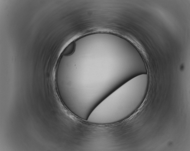 X0000097631198200802290836