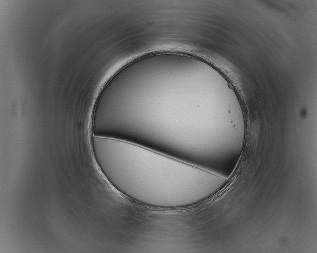 X0000097631199200802290836