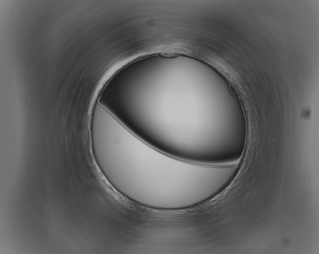 X0000097631200200802290836