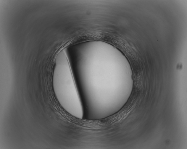 X0000097631201200802290835