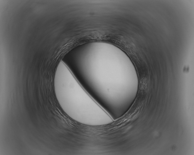 X0000097631202200802290835