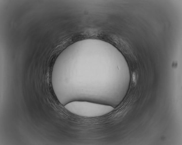 X0000097631203200802290835