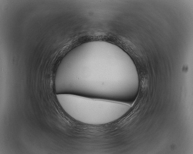 X0000097631204200802290835