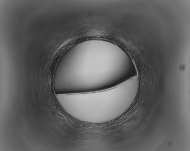 X0000097631206200802290836