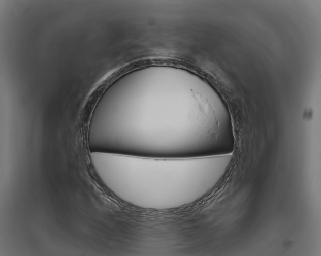 X0000097631208200802290836