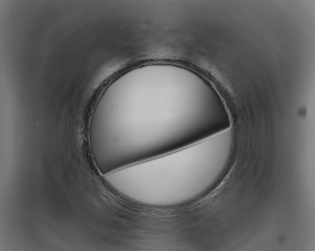 X0000097631213200802290836