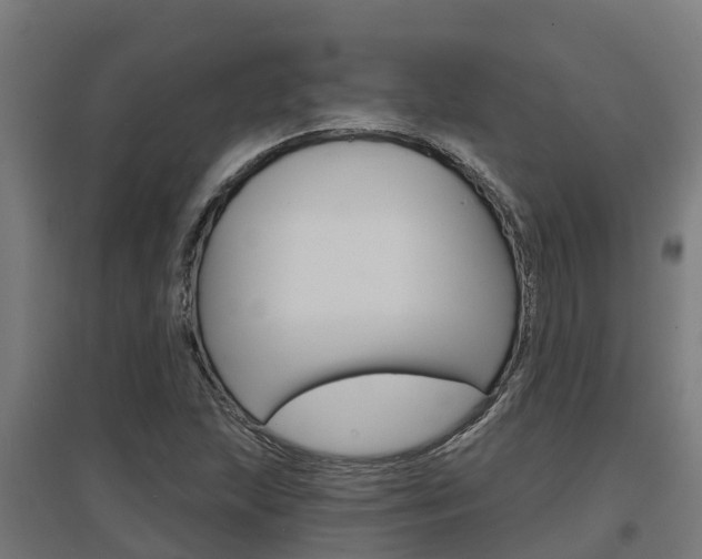 X0000097631215200802290836