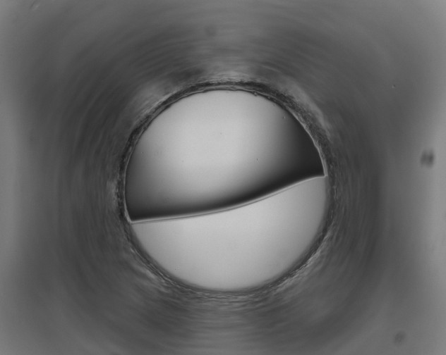 X0000097631217200802290836