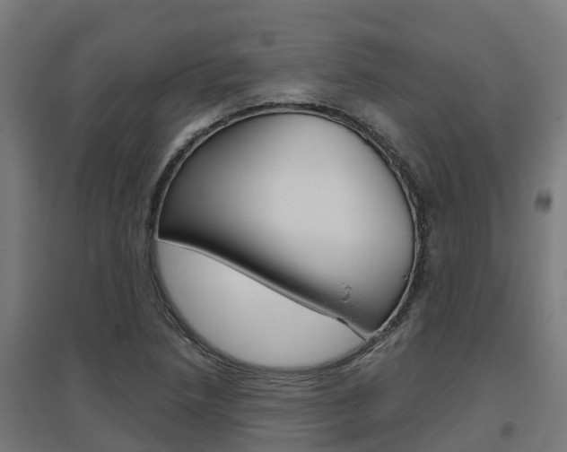 X0000097631218200802290836