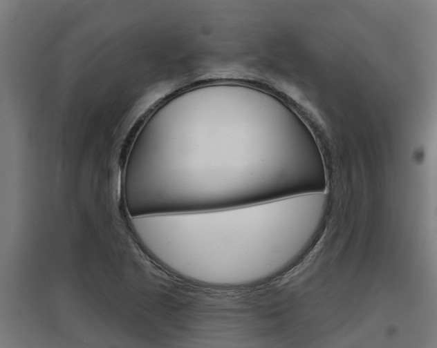 X0000097631221200802290836