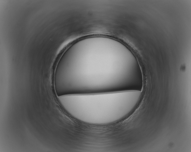 X0000097631222200802290836