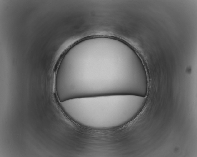 X0000097631223200802290836