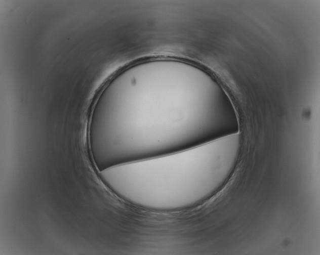 X0000097631224200802290836