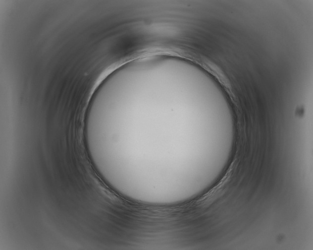 X0000097631226200802290836