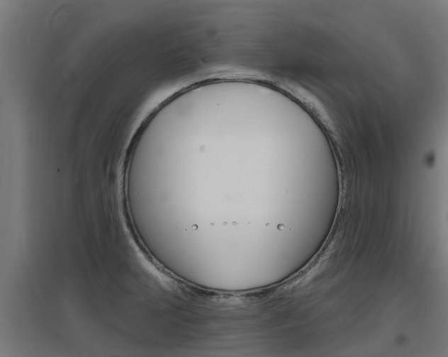 X0000097631231200802290836