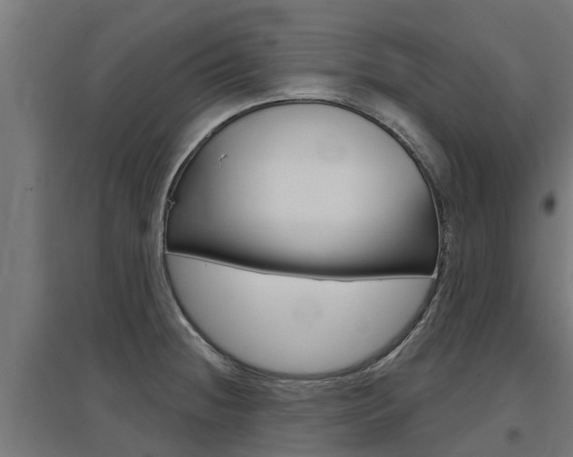 X0000097631236200802290836