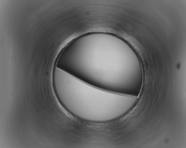 X0000097631237200802290836