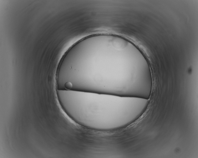 X0000097631239200802290836