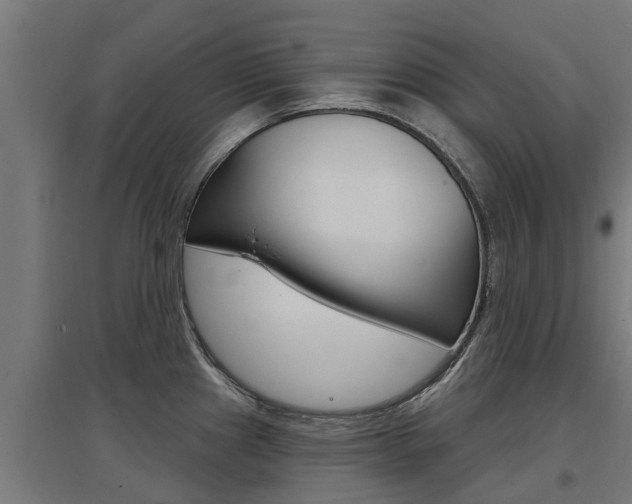 X0000097631241200802290836