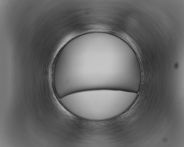 X0000097631243200802290836