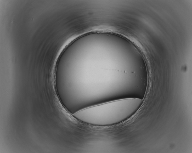 X0000097631248200802290836