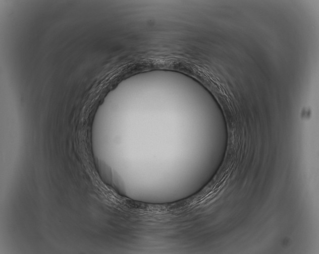 X0000097631249200802290835