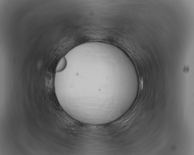 X0000097631251200802290835