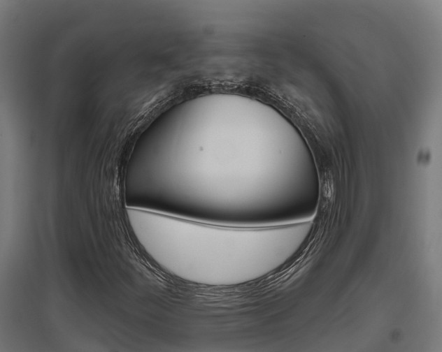 X0000097631252200802290835