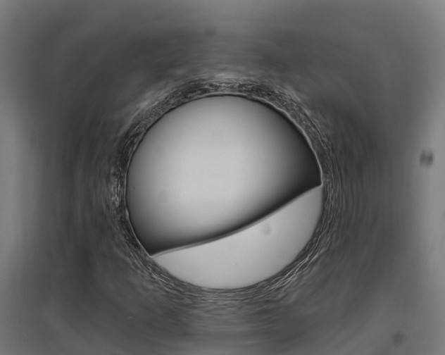 X0000097631253200802290835