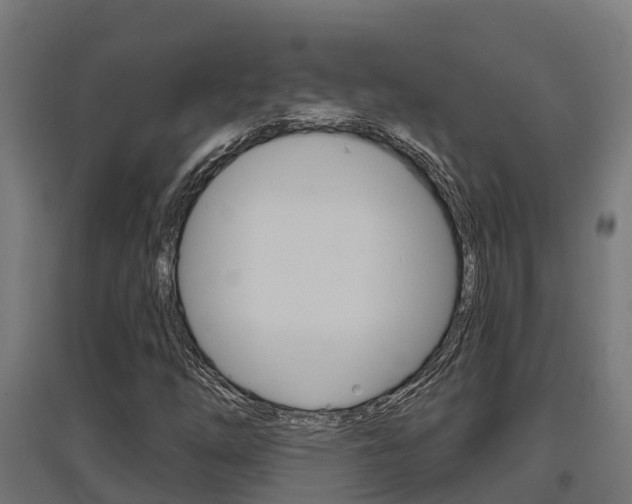 X0000097631254200802290835