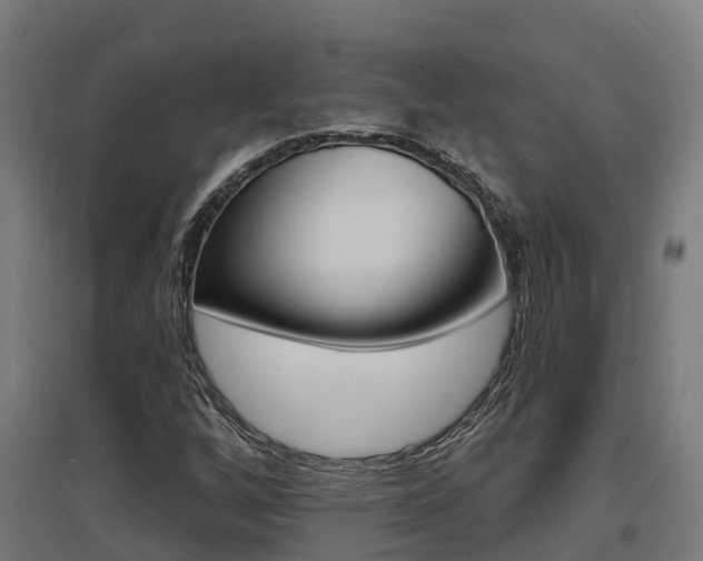 X0000097631256200802290835