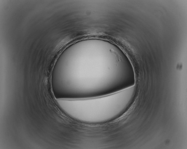 X0000097631257200802290835