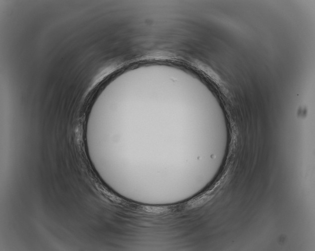 X0000097631258200802290835