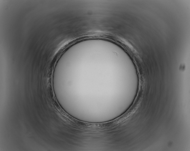 X0000097631259200802290835
