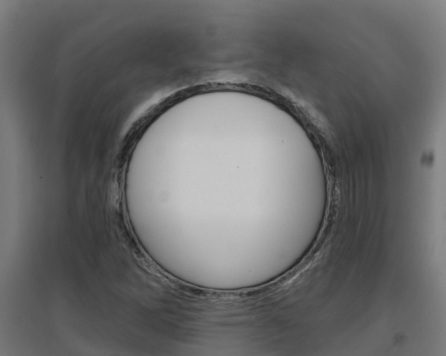X0000097631262200802290835