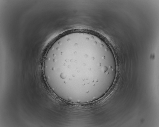 X0000097631263200802290835