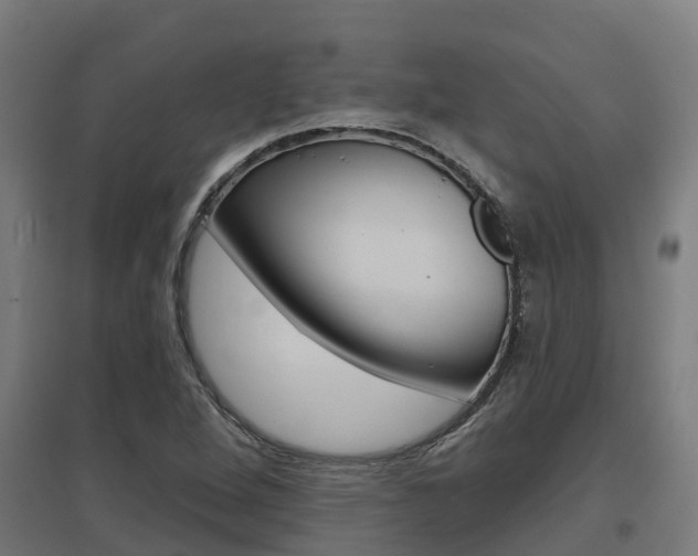 X0000097631264200802290835