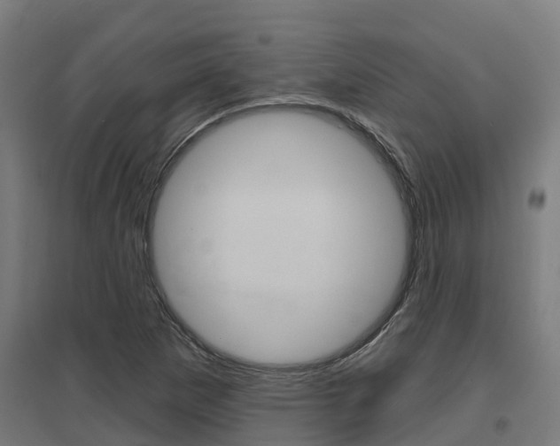 X0000097631265200802290835