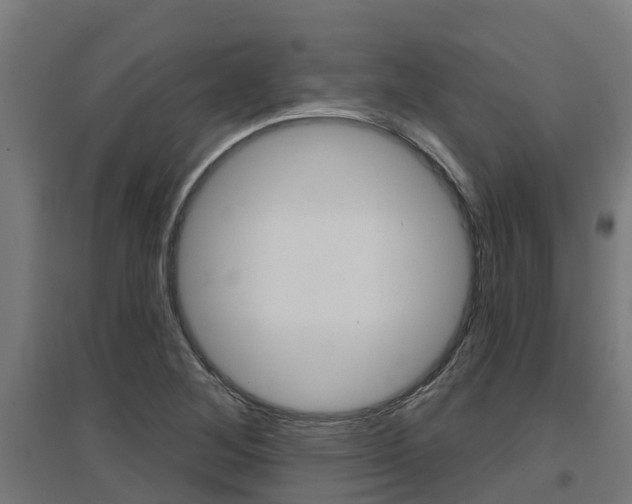 X0000097631268200802290835