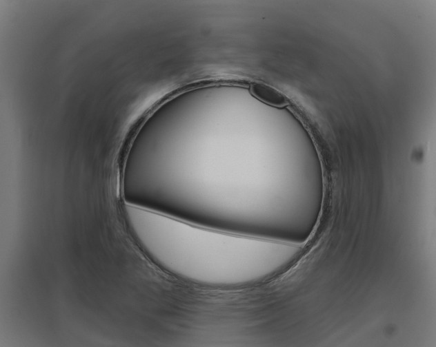 X0000097631269200802290835
