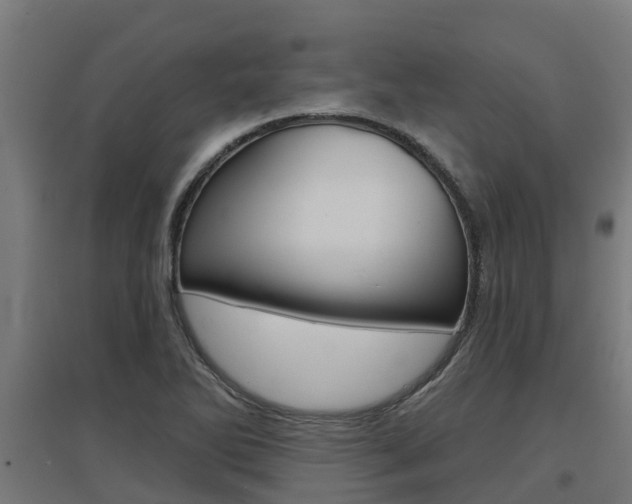 X0000097631270200802290835