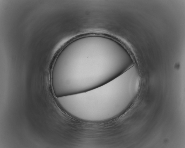 X0000097631271200802290835